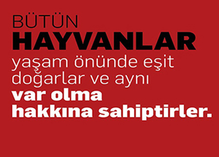 Animus Veteriner Kliniği