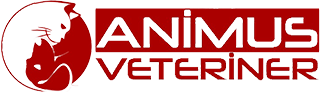 Animus Veteriner Kliniği