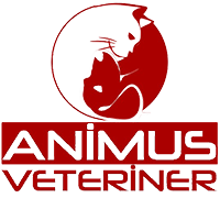 Animus Veteriner Kliniği